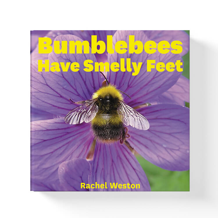 Bumblebees Have Smelly Feet