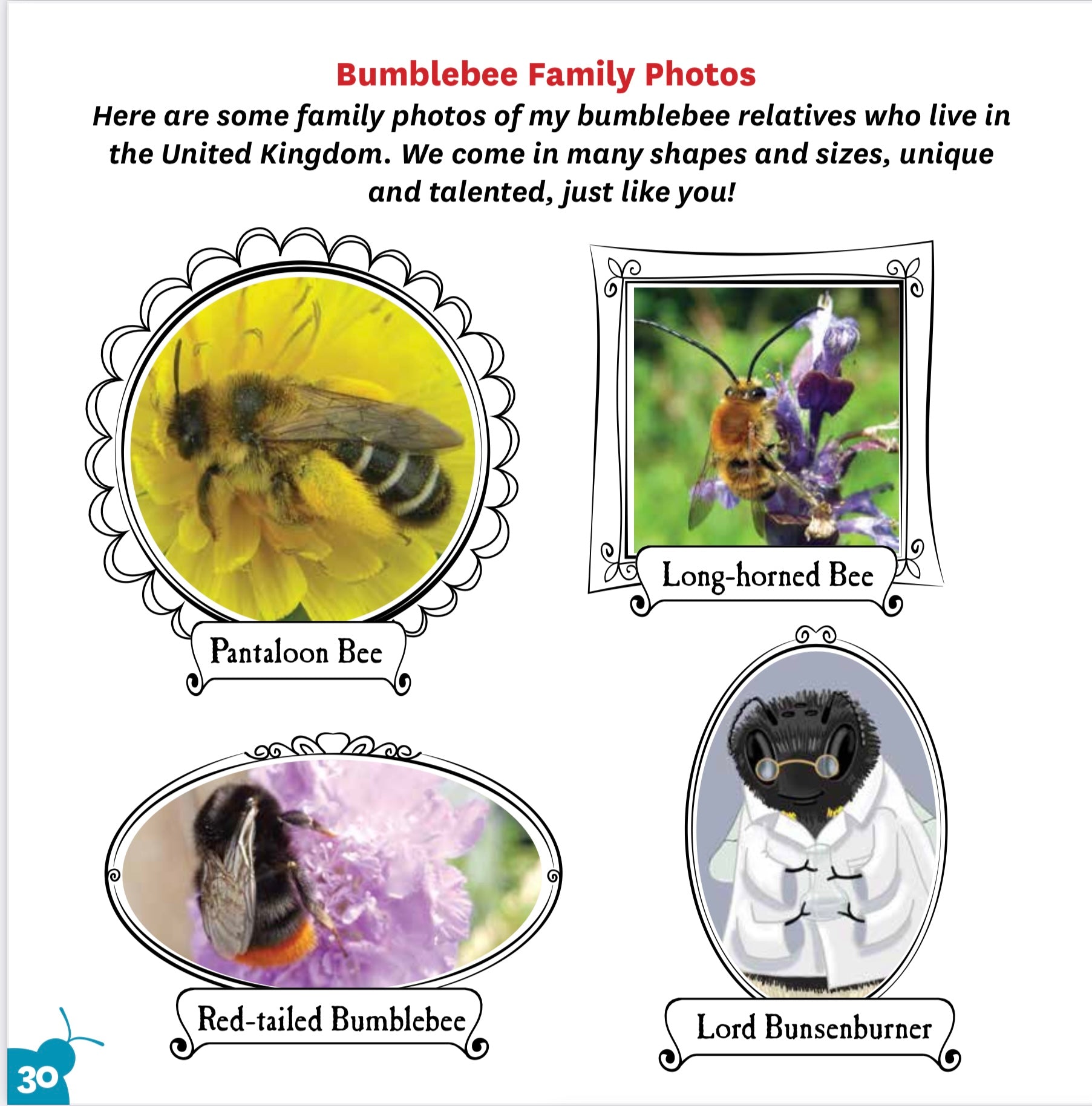 Bumblebees Have Smelly Feet